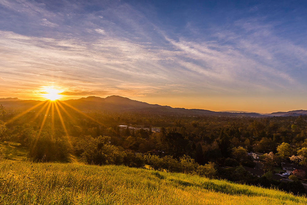 Walnut Creek